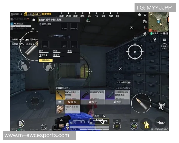 esports最新数据赵丽专访揭秘和平精英成长历程与未来展望的精彩故事